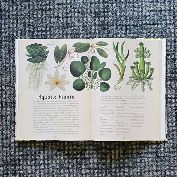 Botanicum & Animalium Activity Book Set – Like New, Never Used - Picture 6 of 8